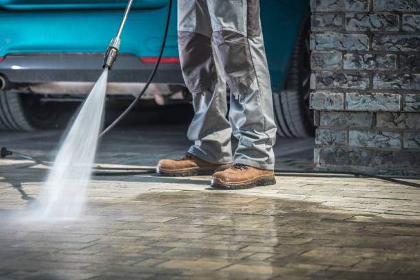 Best Winterizing Services  in Rosedale, MS