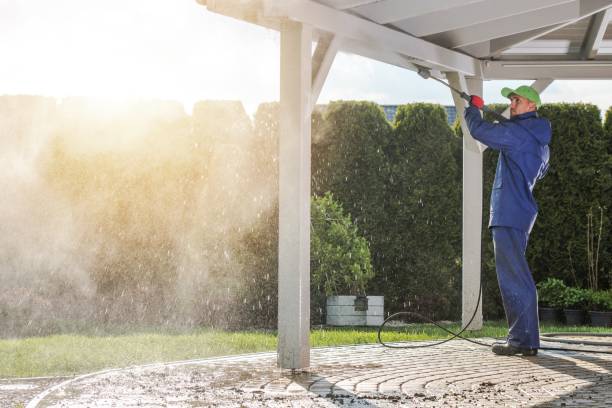 Best Solar Panel Cleaning  in Rosedale, MS